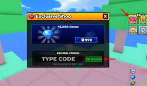 How to Redeem PAINT or DIE Codes