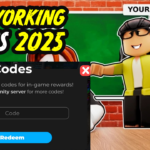 The Presentation Experience Codes February 2025