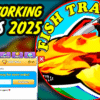 Fish Training Codes August 2025
