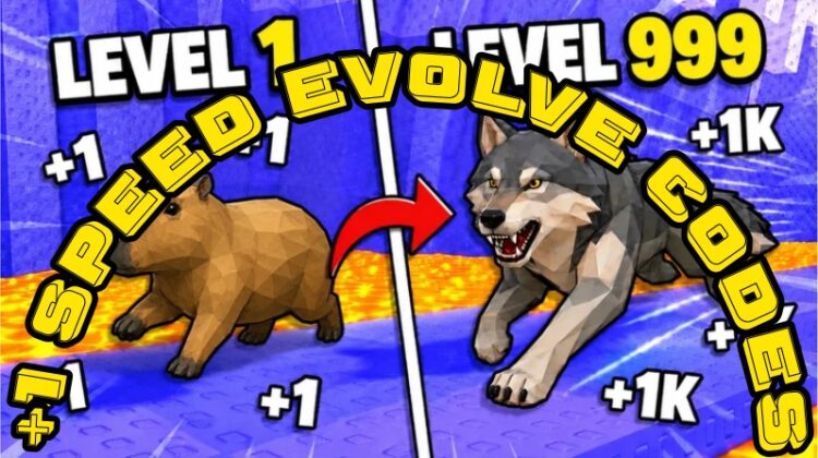 +1 Speed Evolve Codes